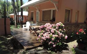 Puerto de Lilas